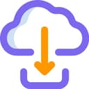 Project Delivery & Support